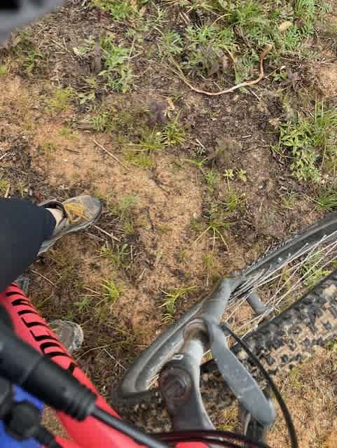 biking in the Upper Peninsula, there are wonderful trails!