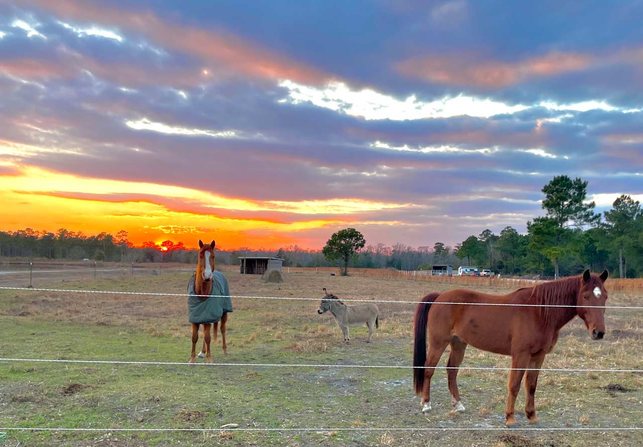 Canter Lakes Farm