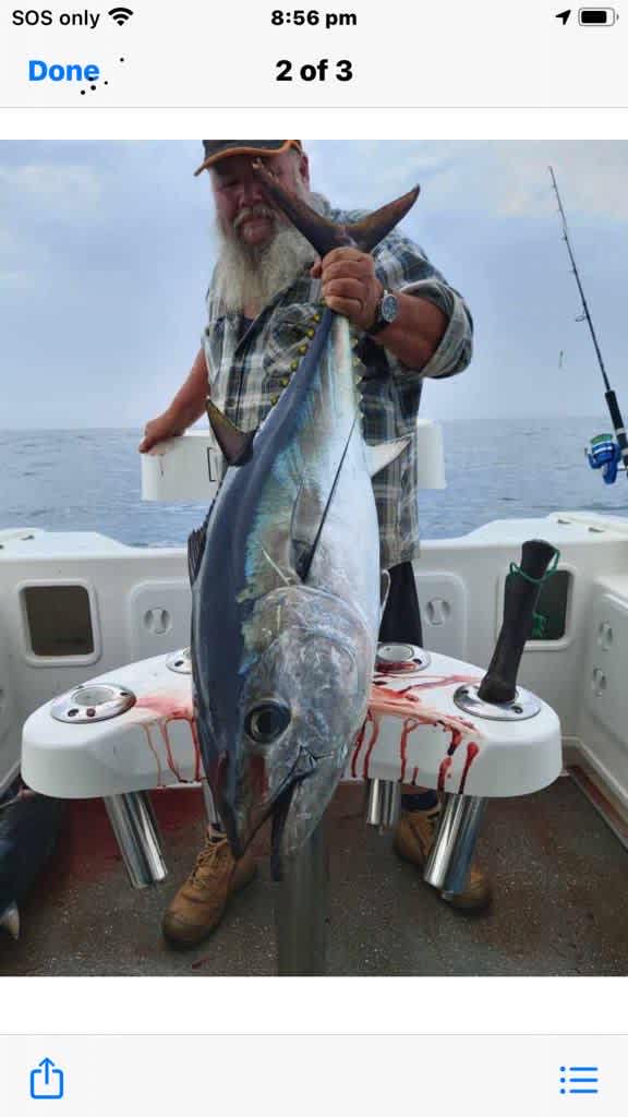 Coffee Rock Fishing Shack & camping