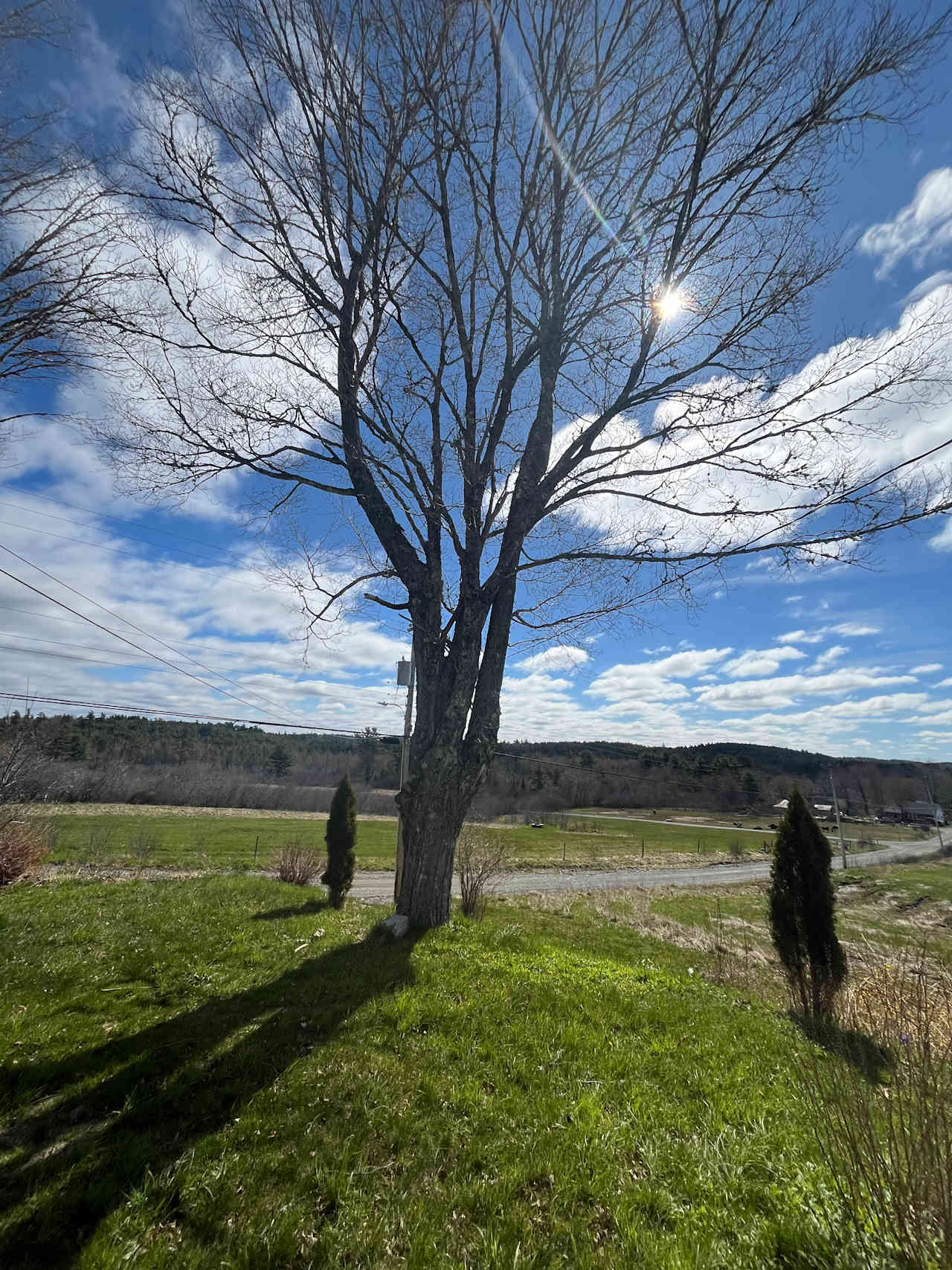 Harmony Mills Farm