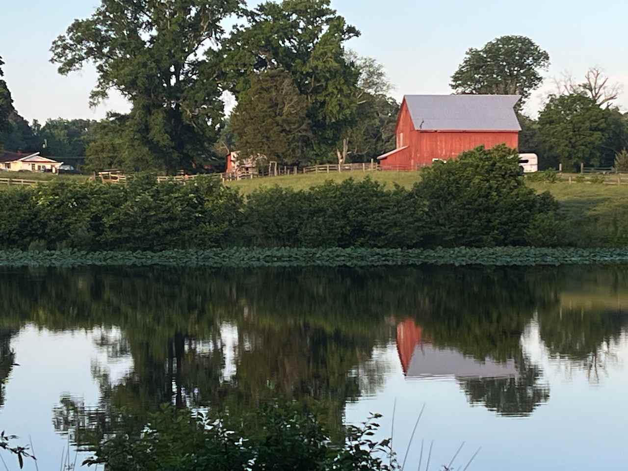 Sunrise by the Pond