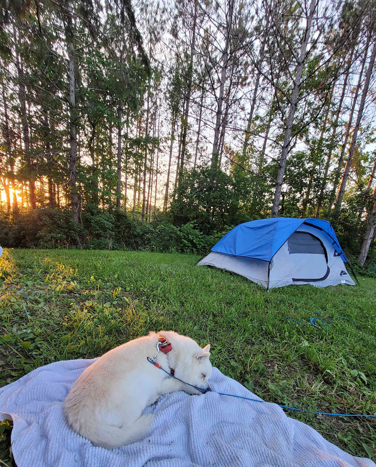 Affordable Camping on Hobby Farm