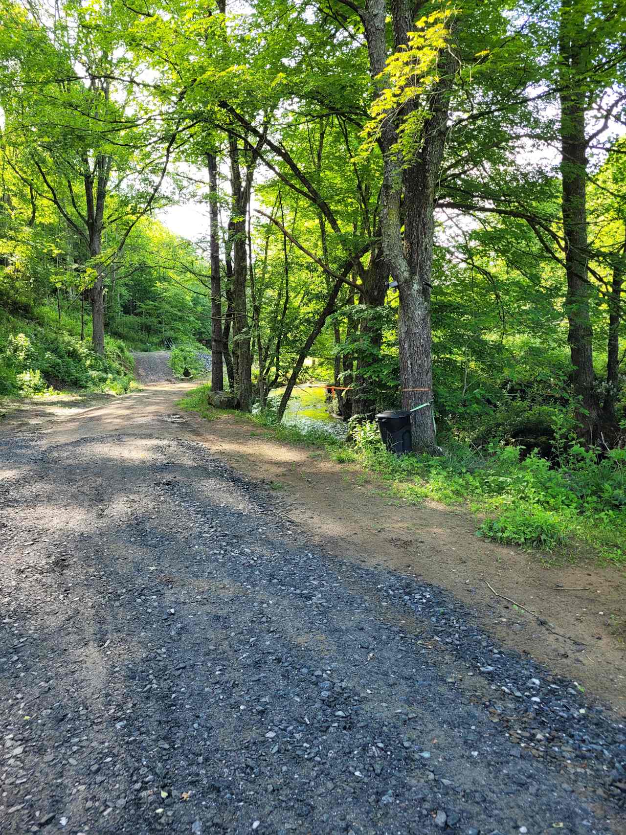 Black Sheep Creek