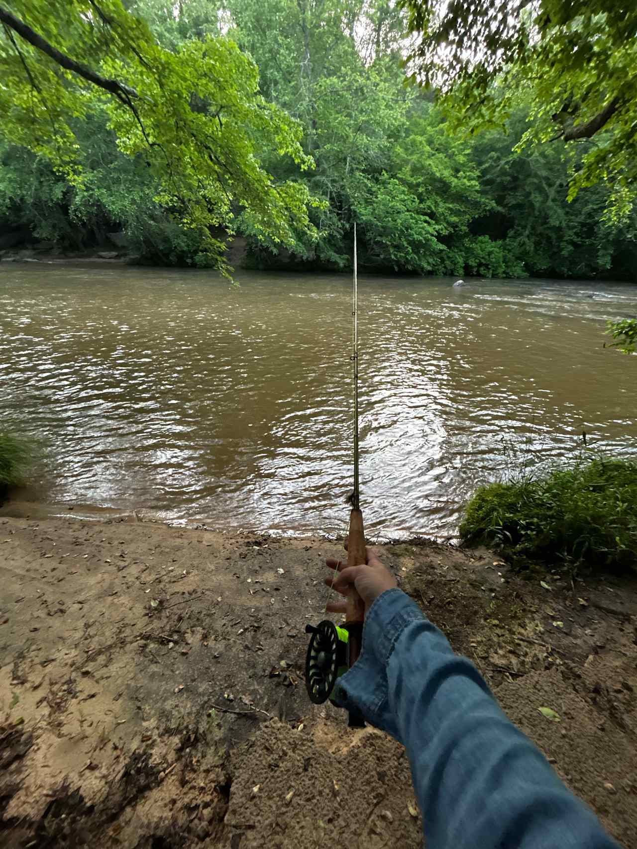 Tranquil Fisher River Cattle Farm