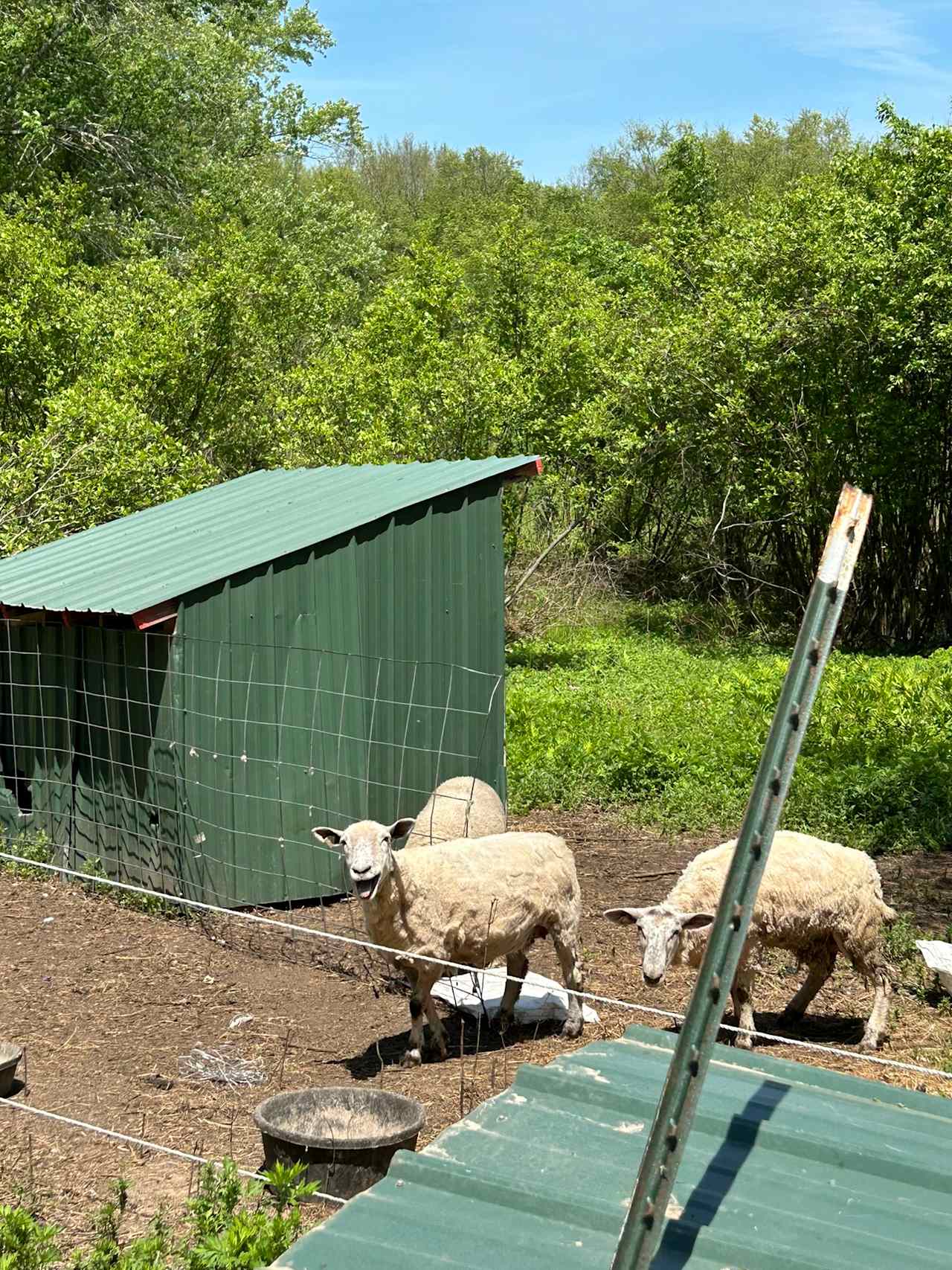 Ugly Apple Farms