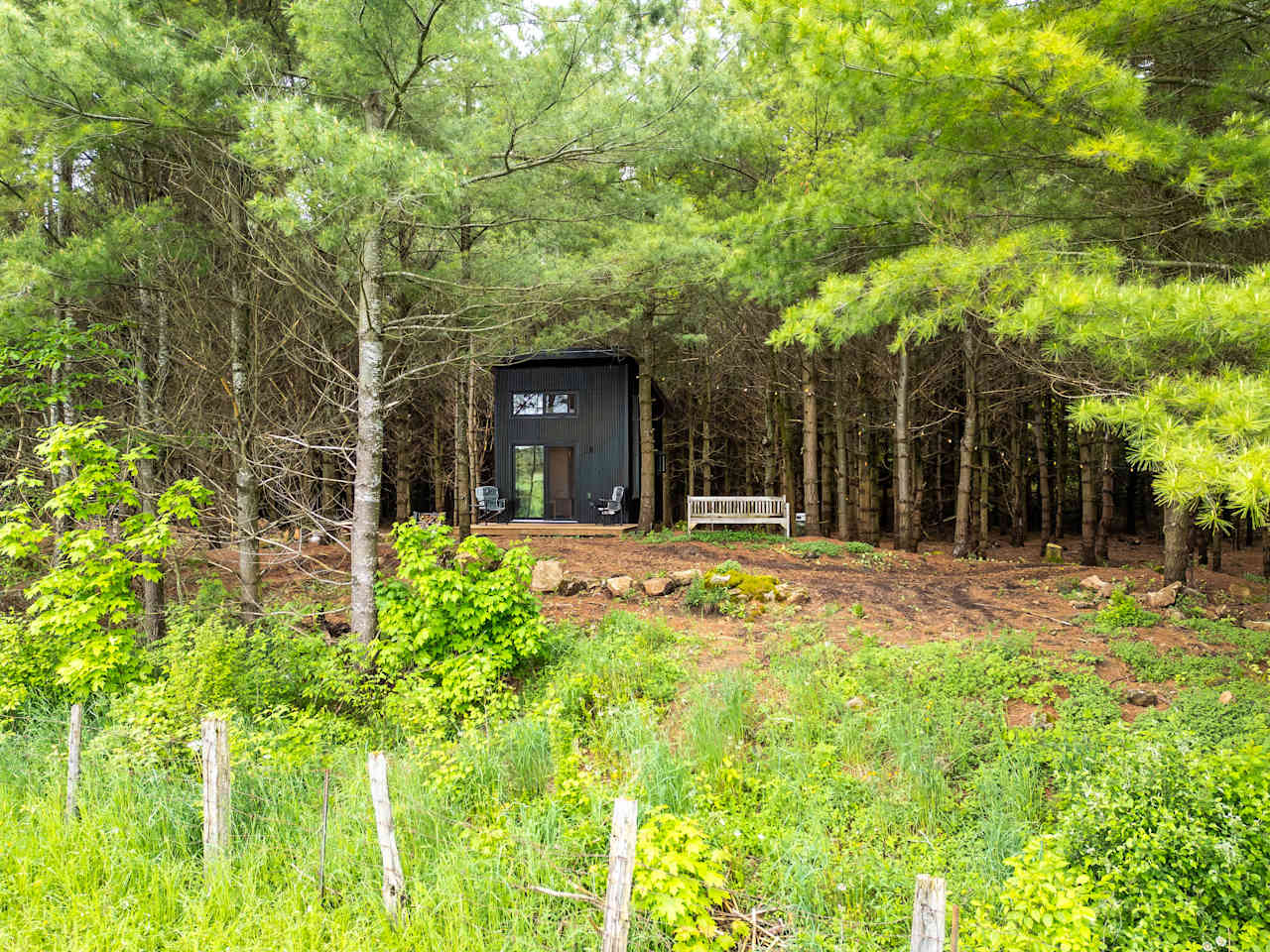 Little Cabin In The Pines