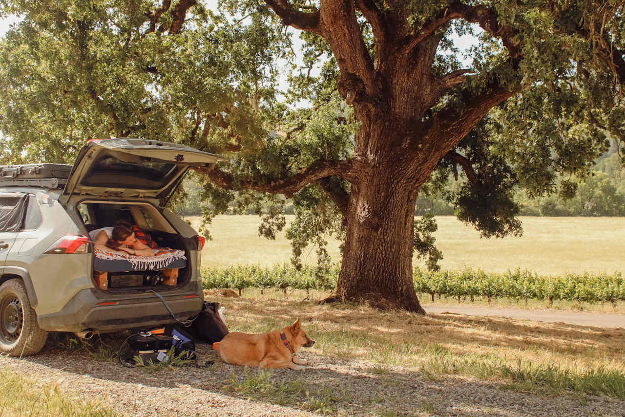 Naptime in the shade with a nice breeze after long drives are pretty stellar