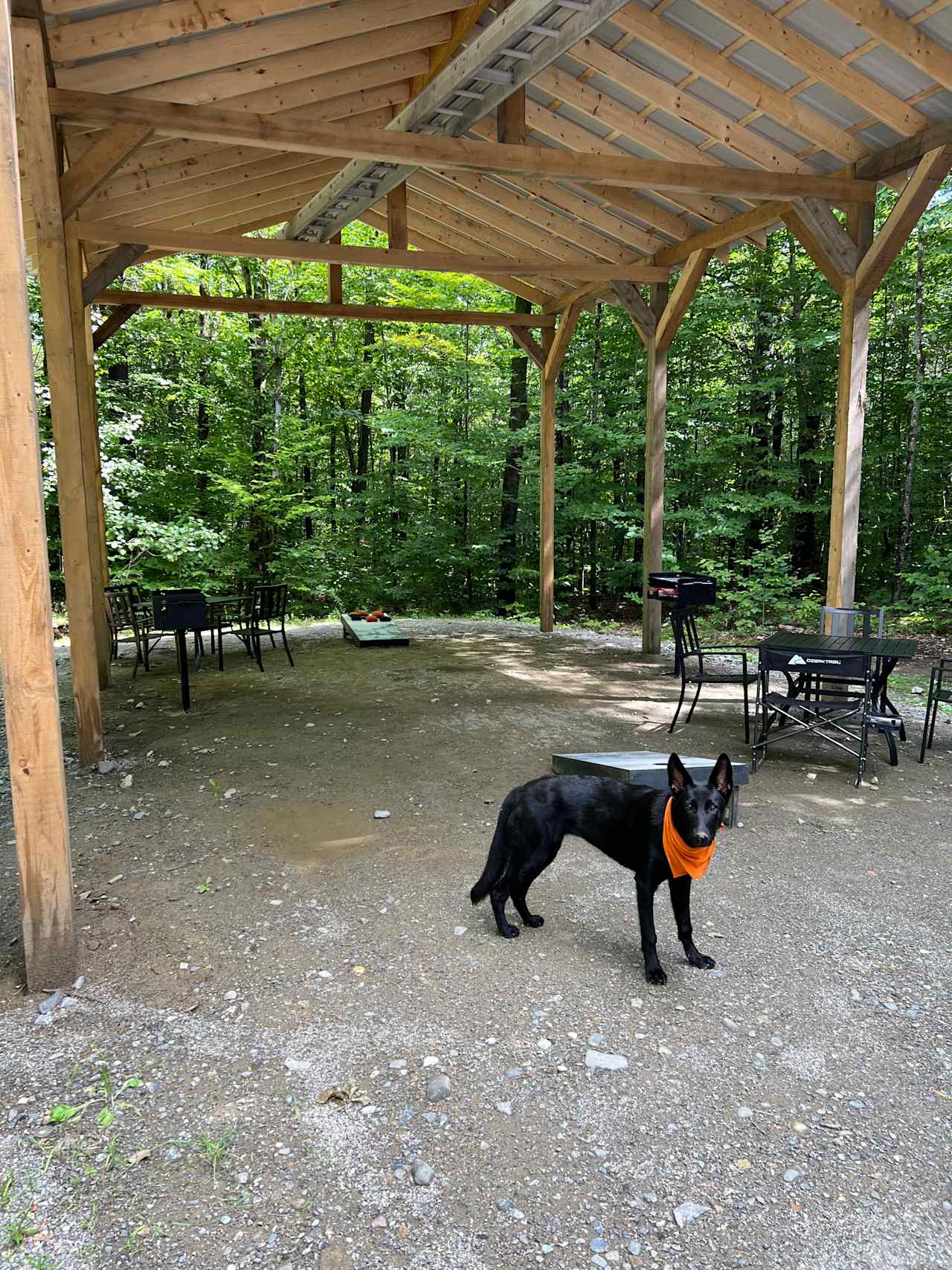 Straydog Property
