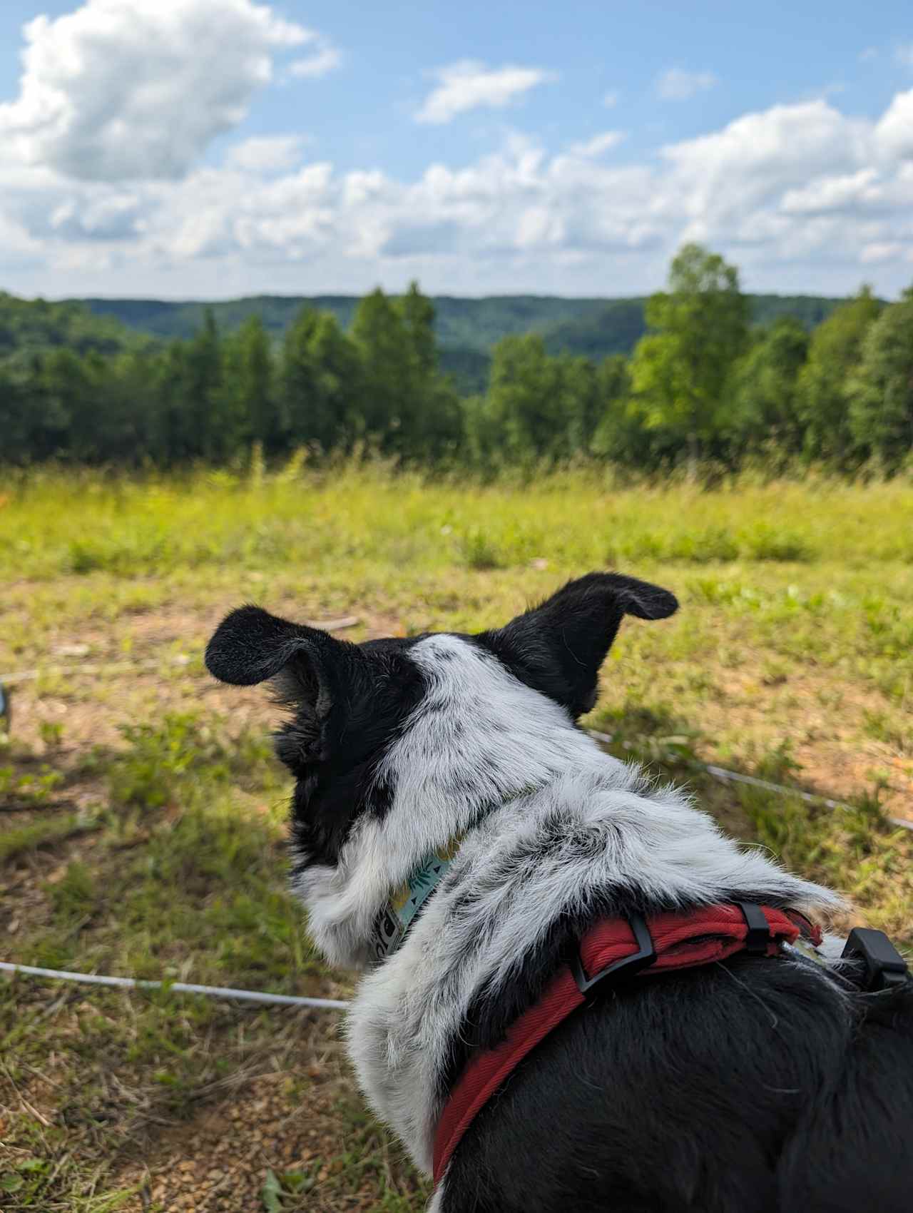 Possum Ridge Ranch