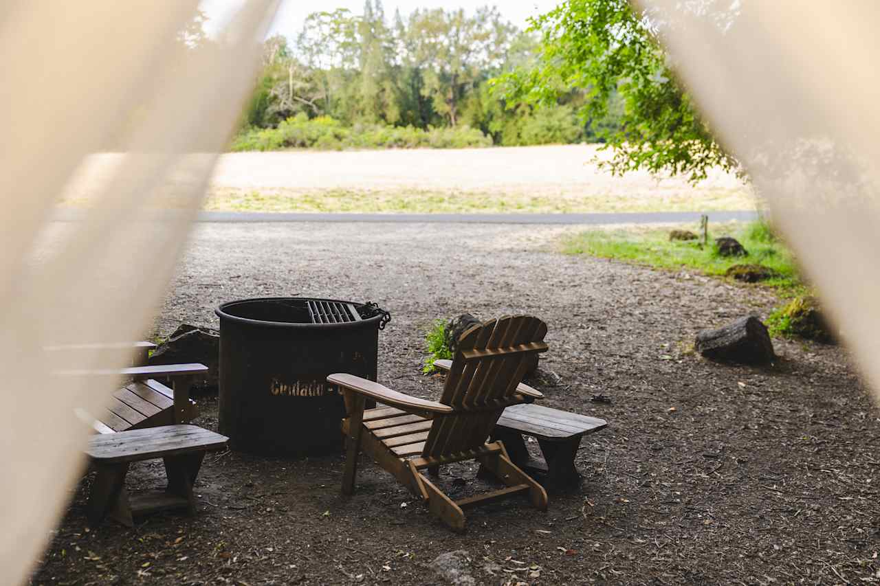 View from inside Glamping site 3