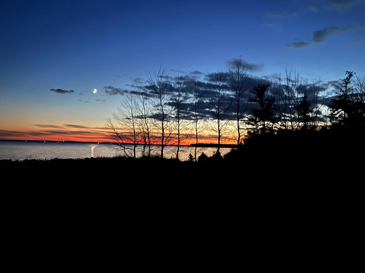 Beach and Forest