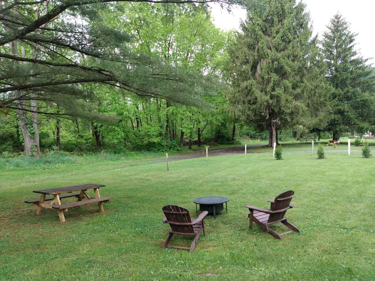 Pine Meadow campsite. Kindly note that another site is within view, as well as the host's house.