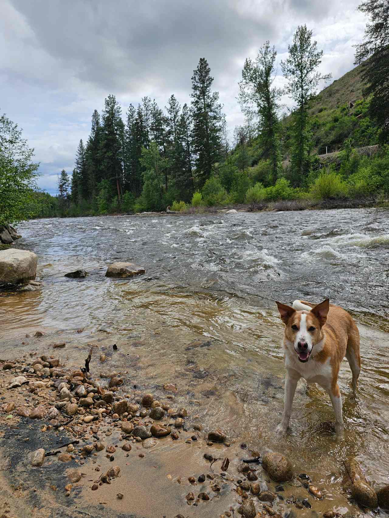 Chewack River Guest Ranch