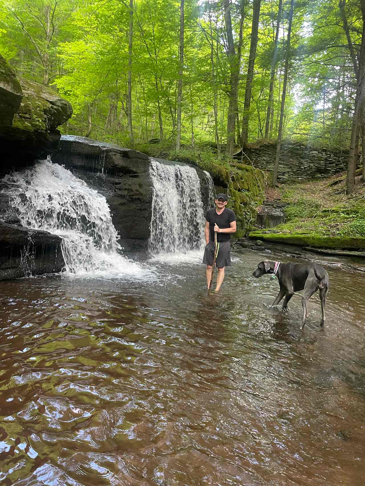 Paradise Falls