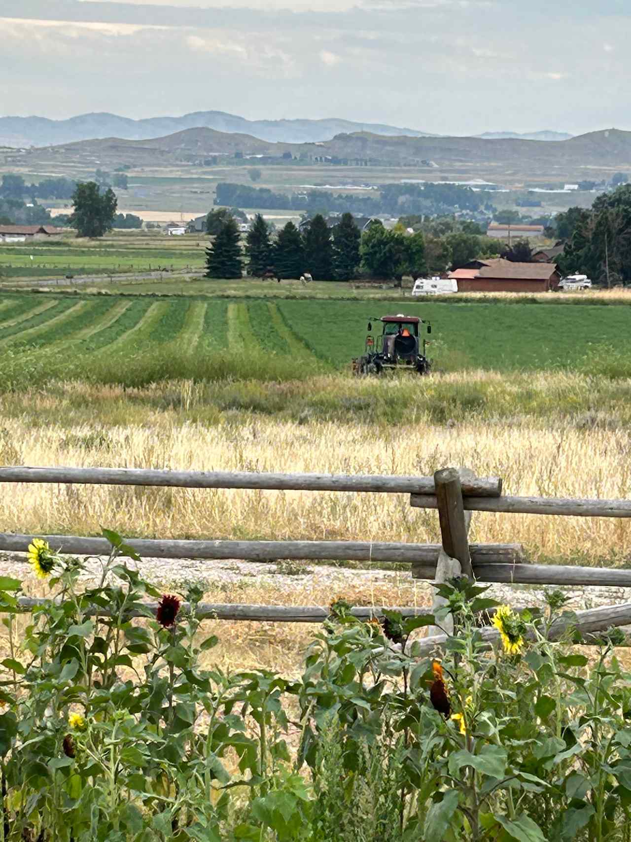 Sweetiebird Farms In Cody WY