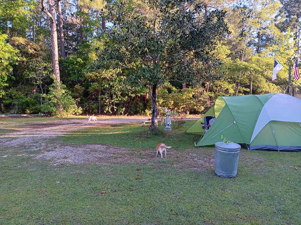 Certain dogs are not allowed please confirm your breed before bringing your dog must have dogs on leash when camping