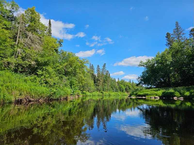 Kingfisher's Bend