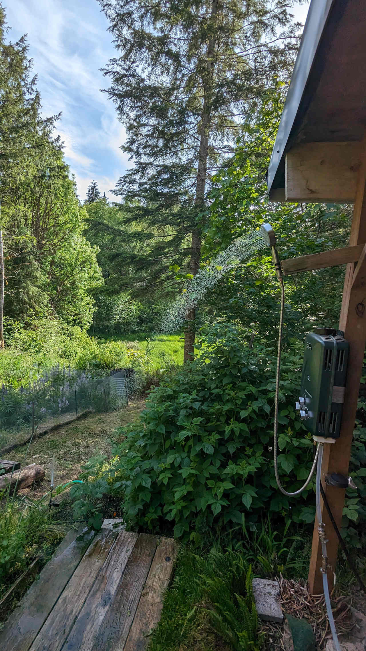 Off-grid Studio Cabin on 10 acres