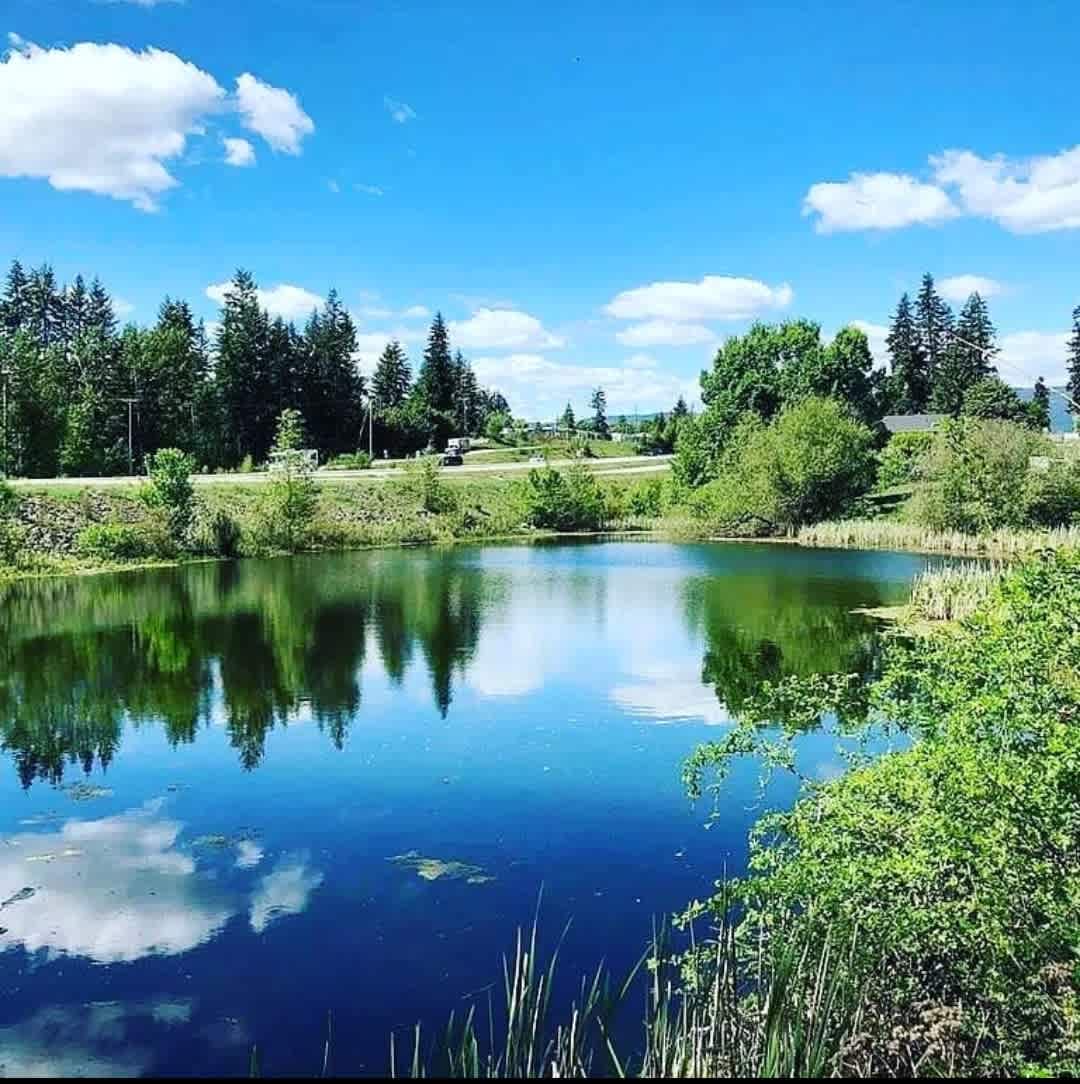 Pond Side Acreage