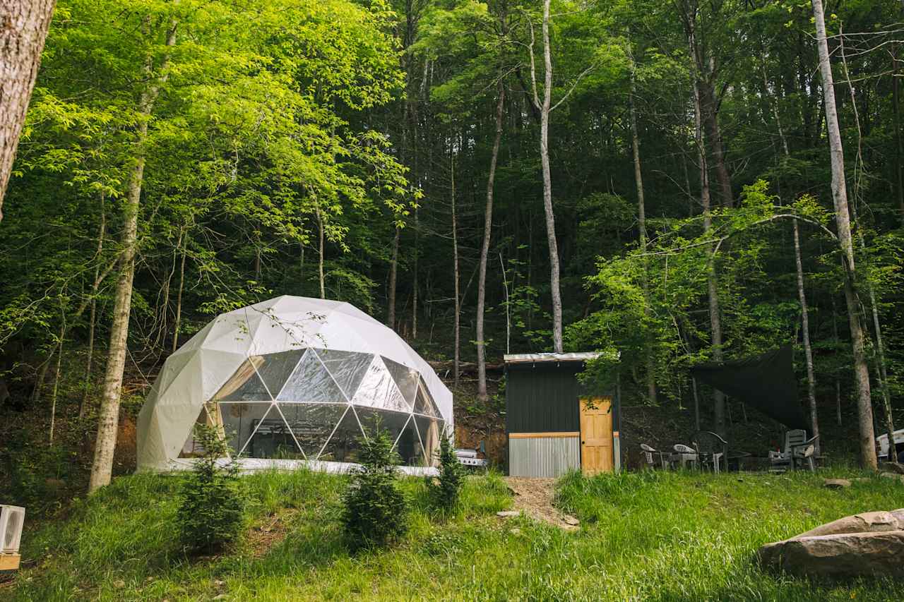 Bell Perch Dome
