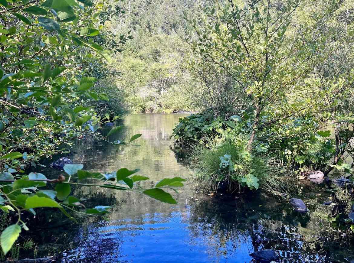 Tranquil Riverside Camping