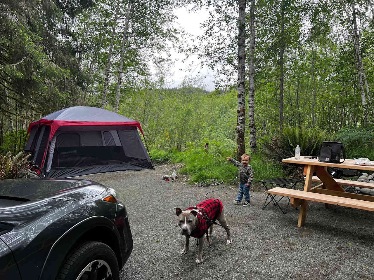 Hoh River Campsites