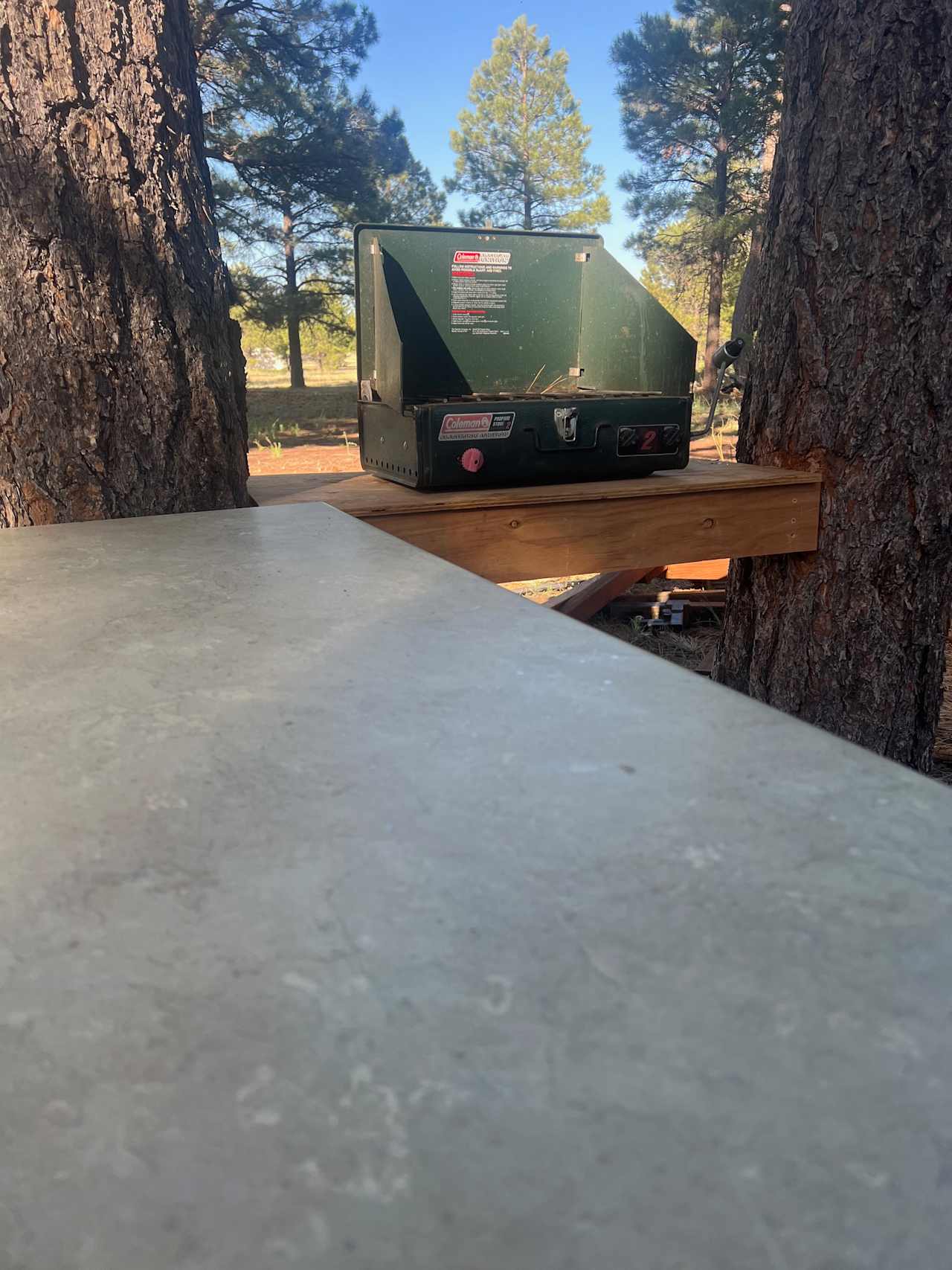 A high-top table along with a Coleman cooktop is the perfect spot to prep and make your meals all while viewing the beautiful pine trees and listening to the birds singing in the trees.  