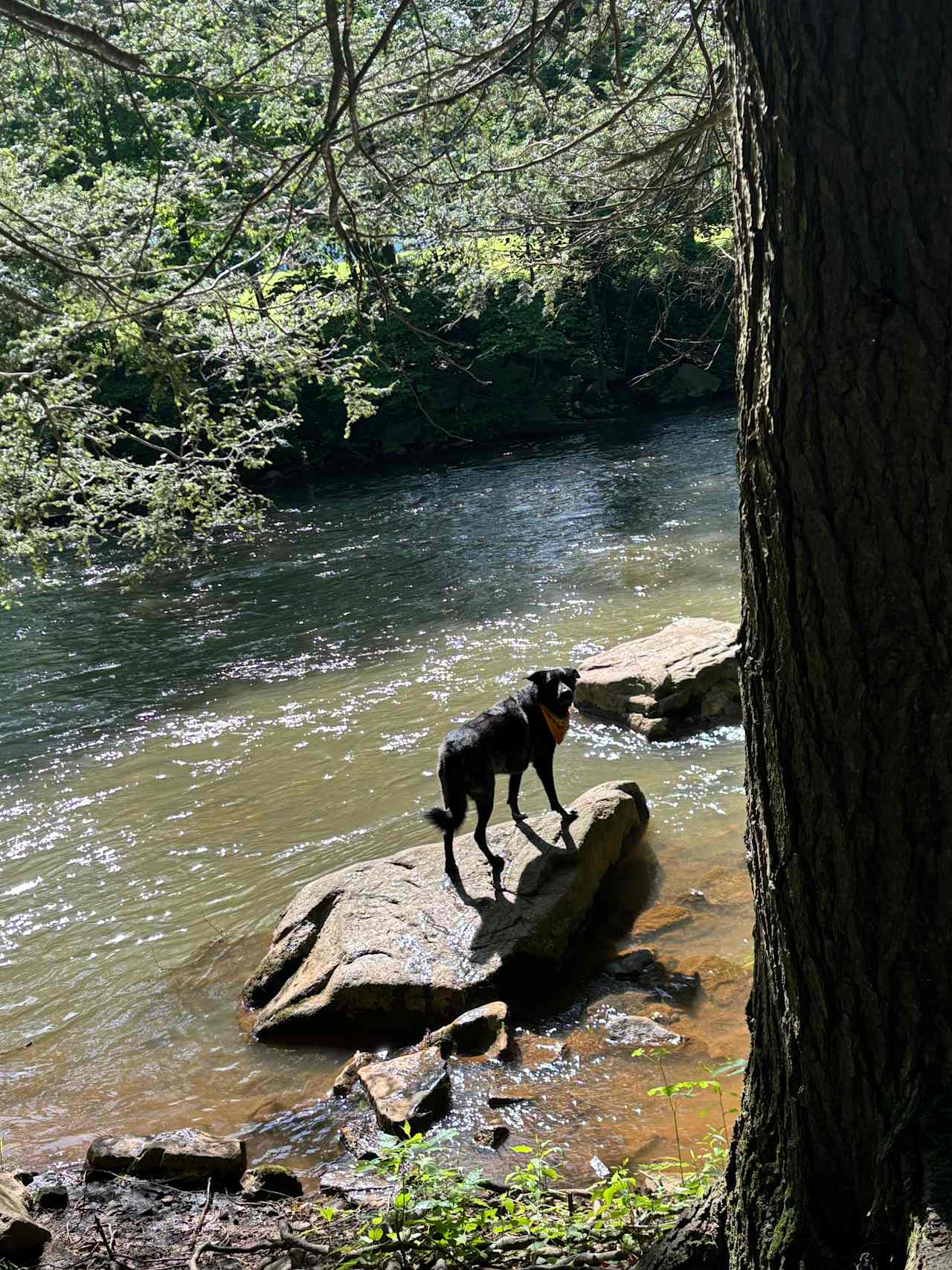 Little Mahanoy Creek Campground