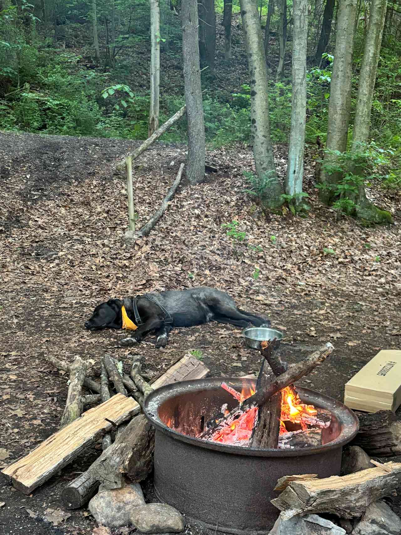 Little Mahanoy Creek Campground