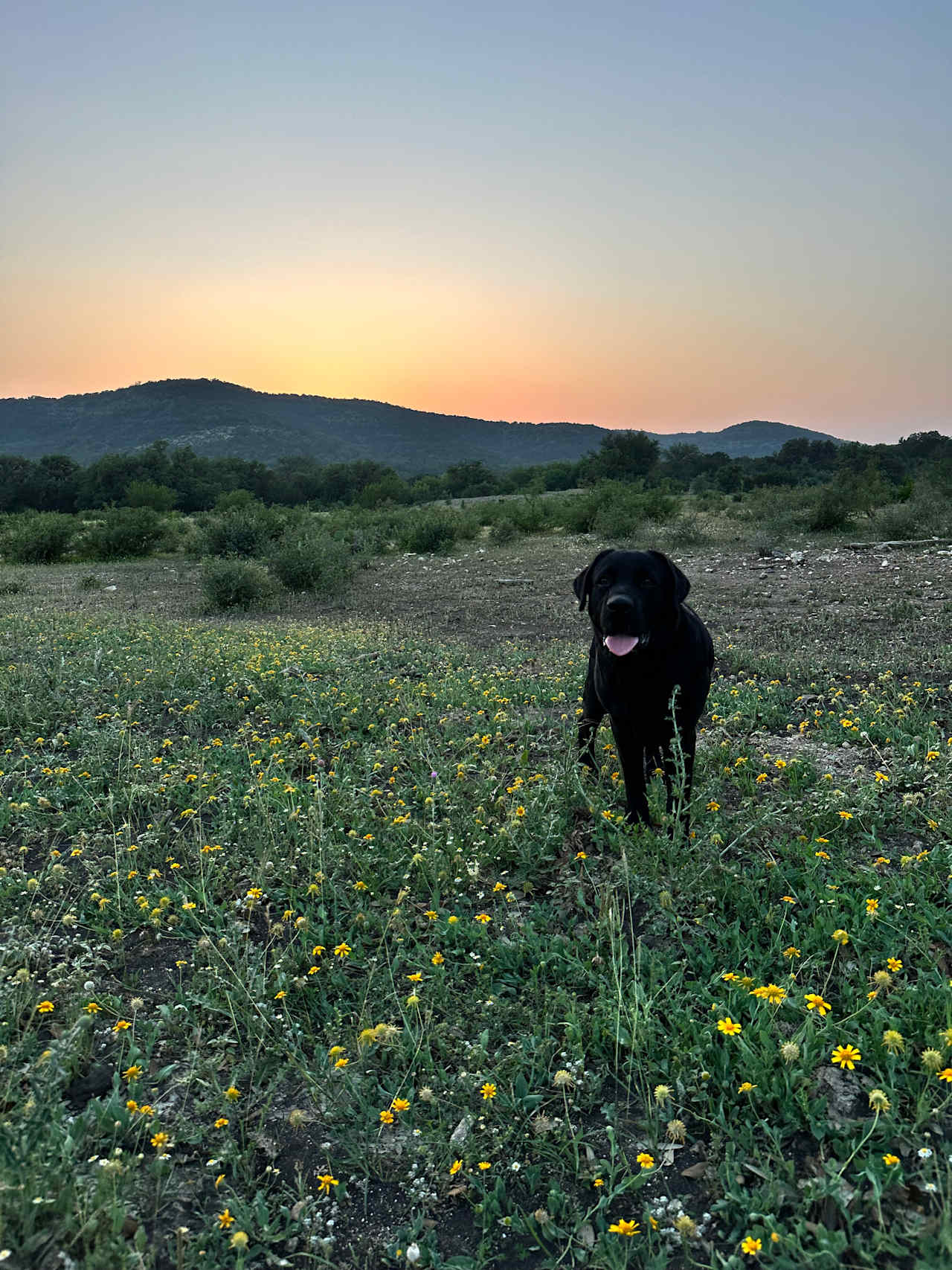 6,000 Acre Hill Country Retreat