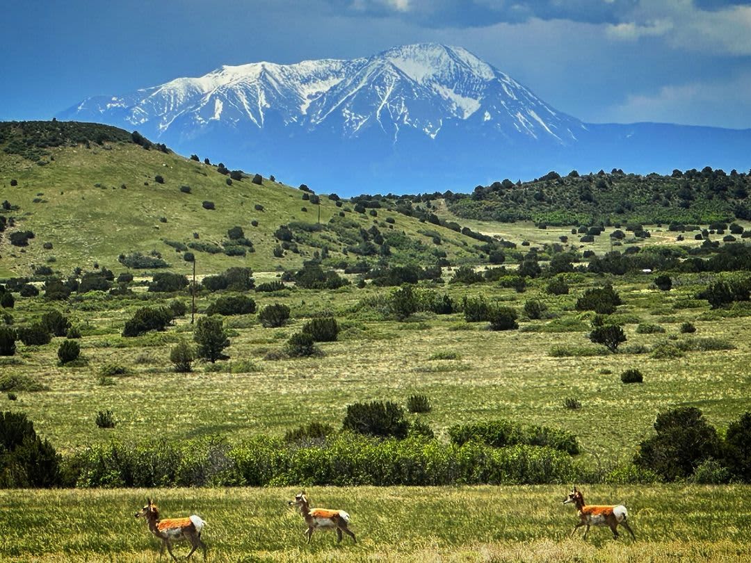 Hummingbird Ranch