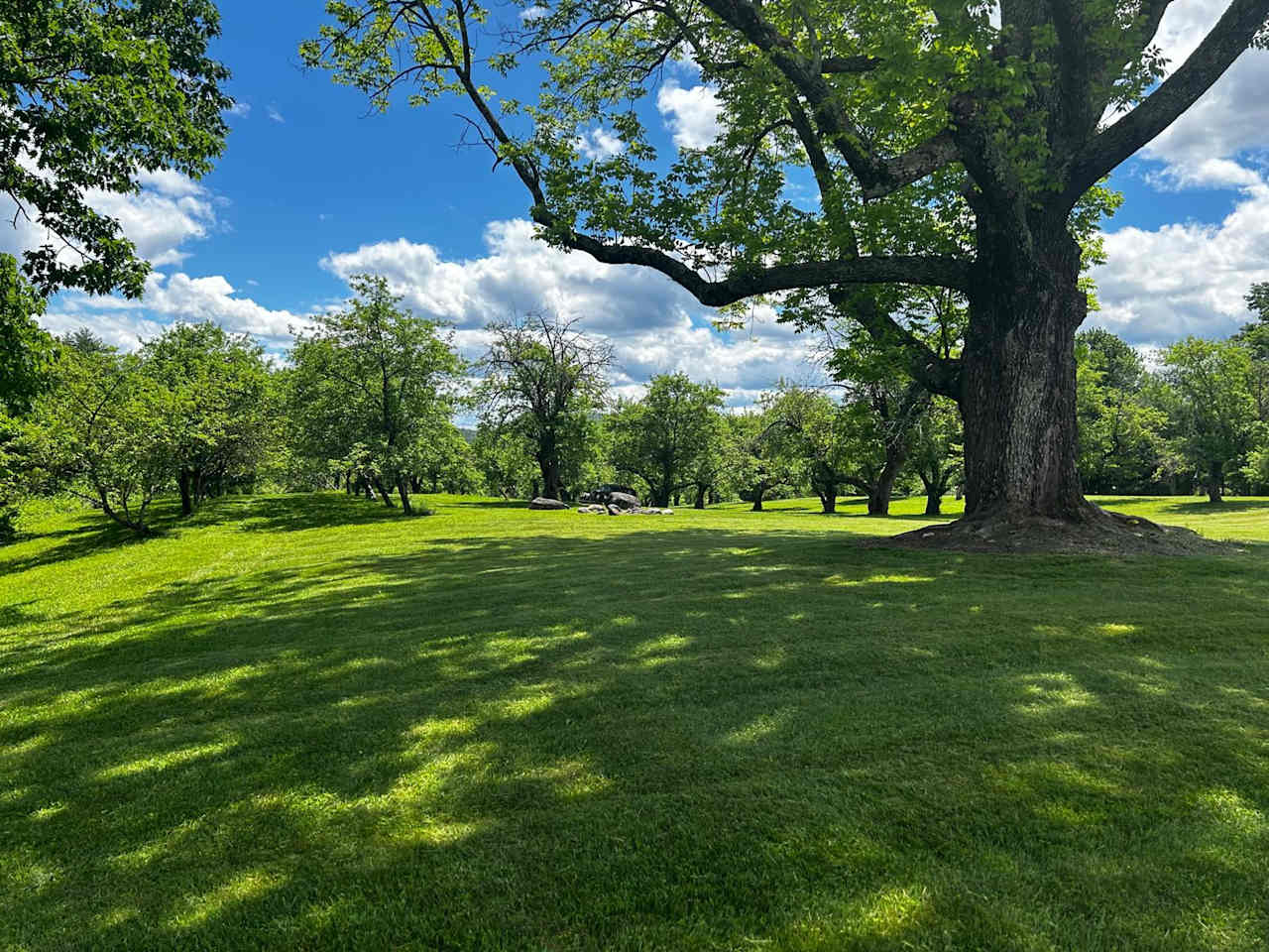 Sunset Hill Orchard