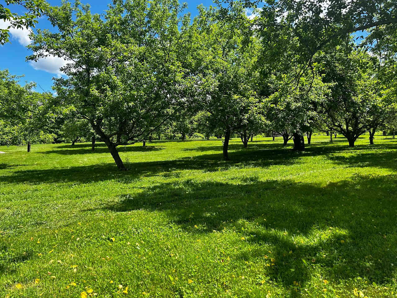 Sunset Hill Orchard