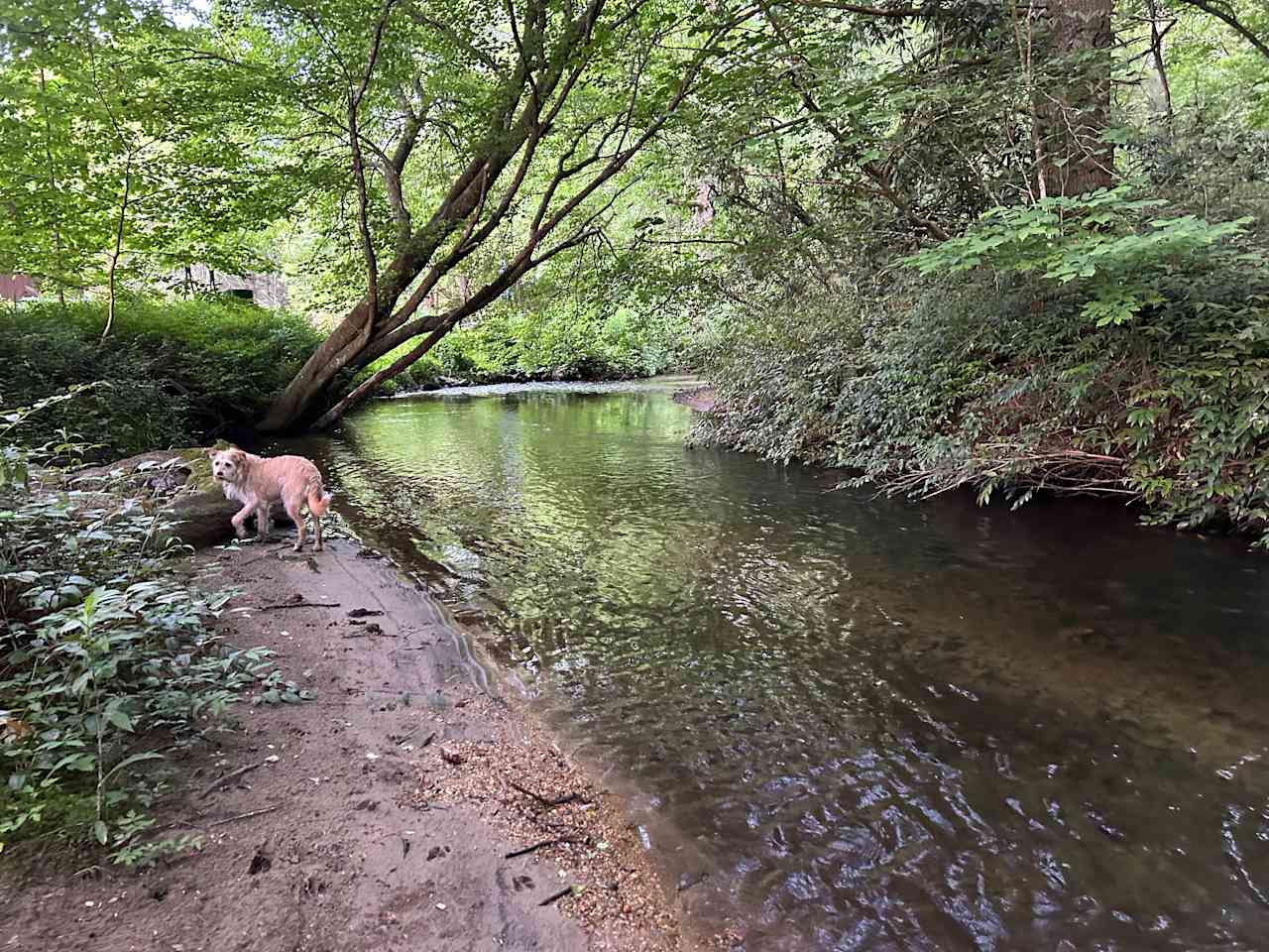 Little River Hideaway