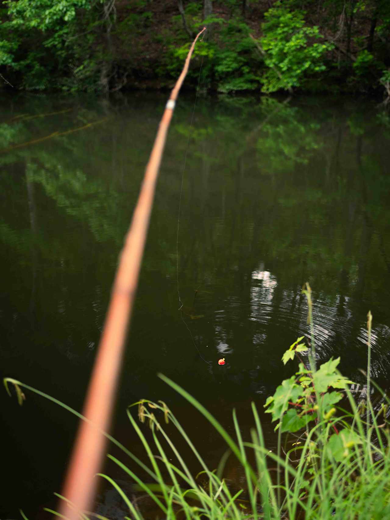 Trying our luck with the cane fishing poles on site!