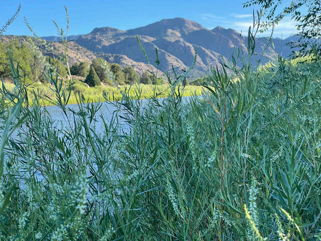 Explore the banks of the Arkansas River at Sweetwater - we have beavers in front of the House, otter sightings, eagles, osprey & tons of hummingbirds