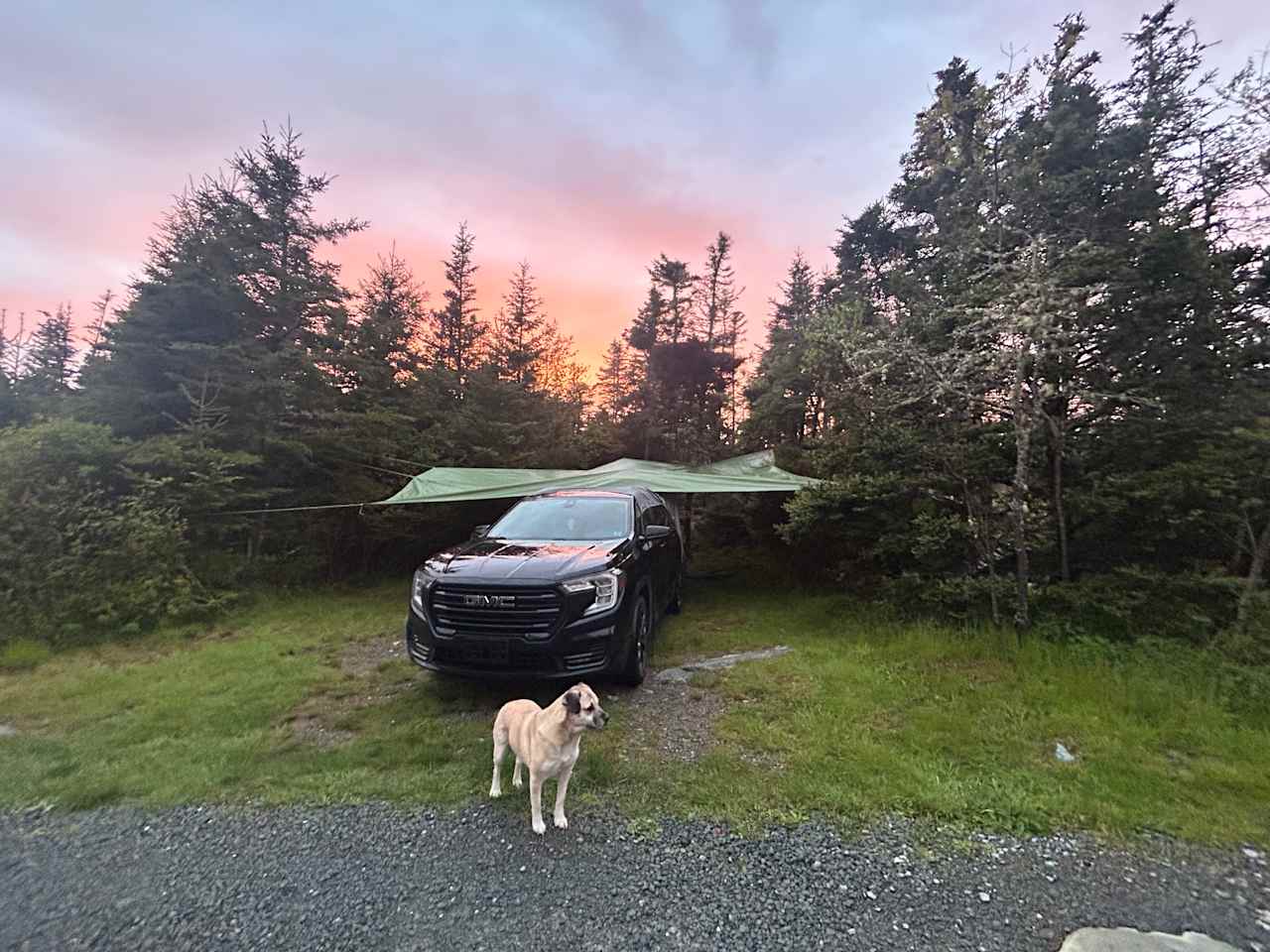 Murphy's Camping on the Ocean