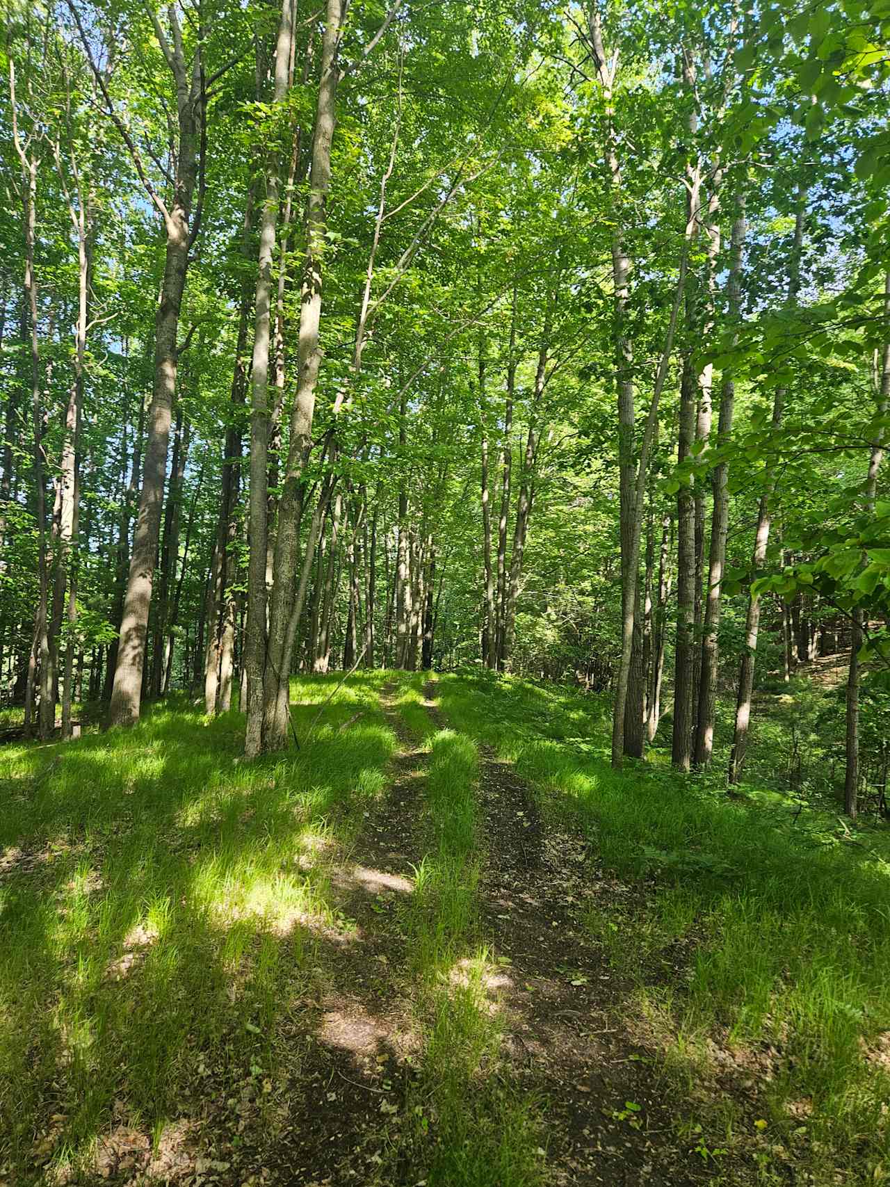 Corner Creek Ranch