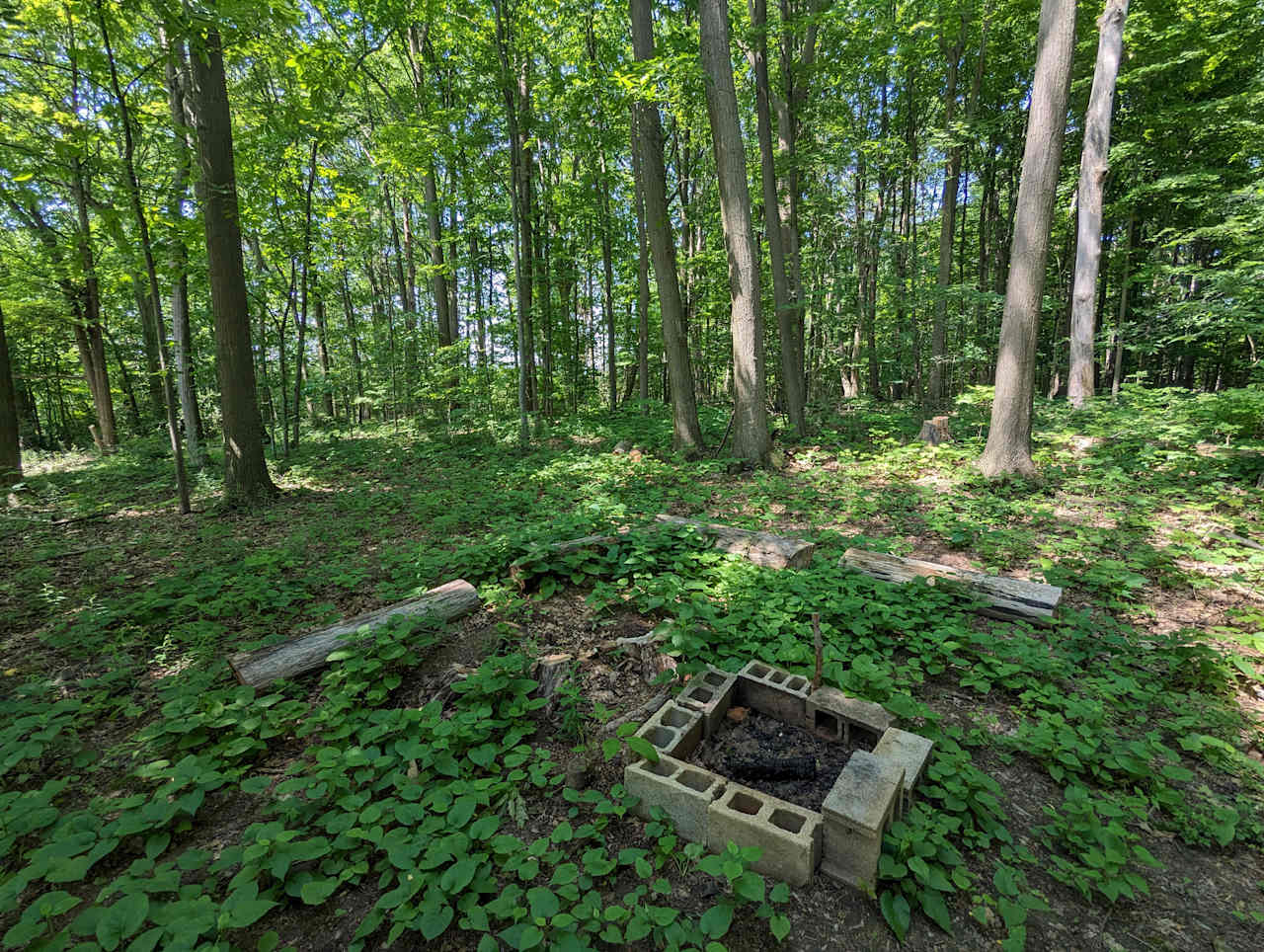 site one fire pit 
