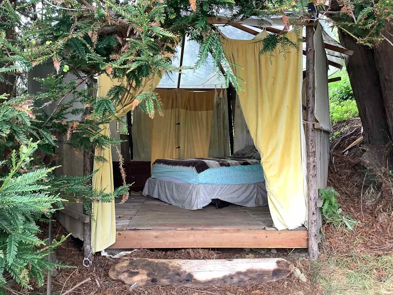 Revamped June 23’ with a wood floor and windows, doors coming soon….