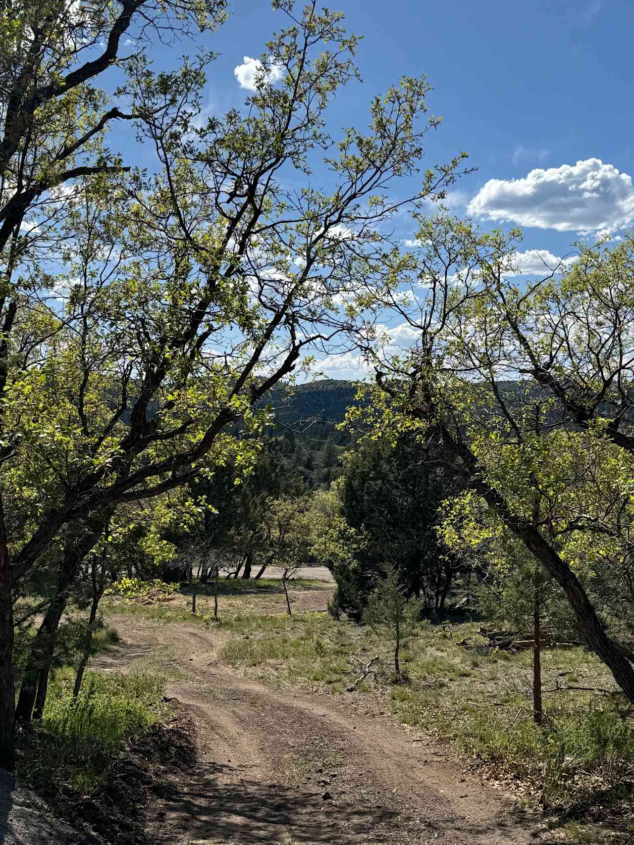 Camp64 SW Utah Off-Grid Camping