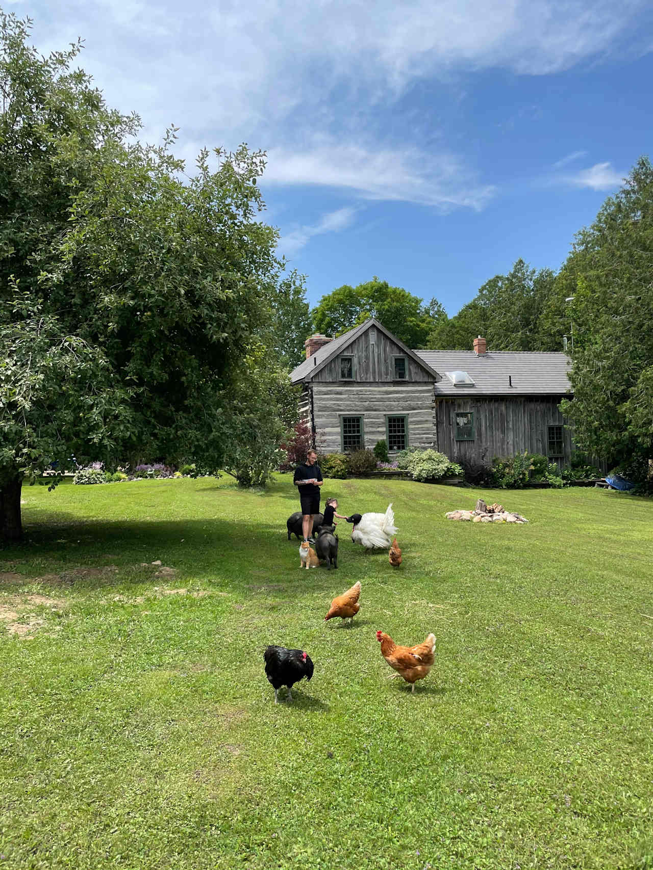 The main house and some of our feathered friends 🤍