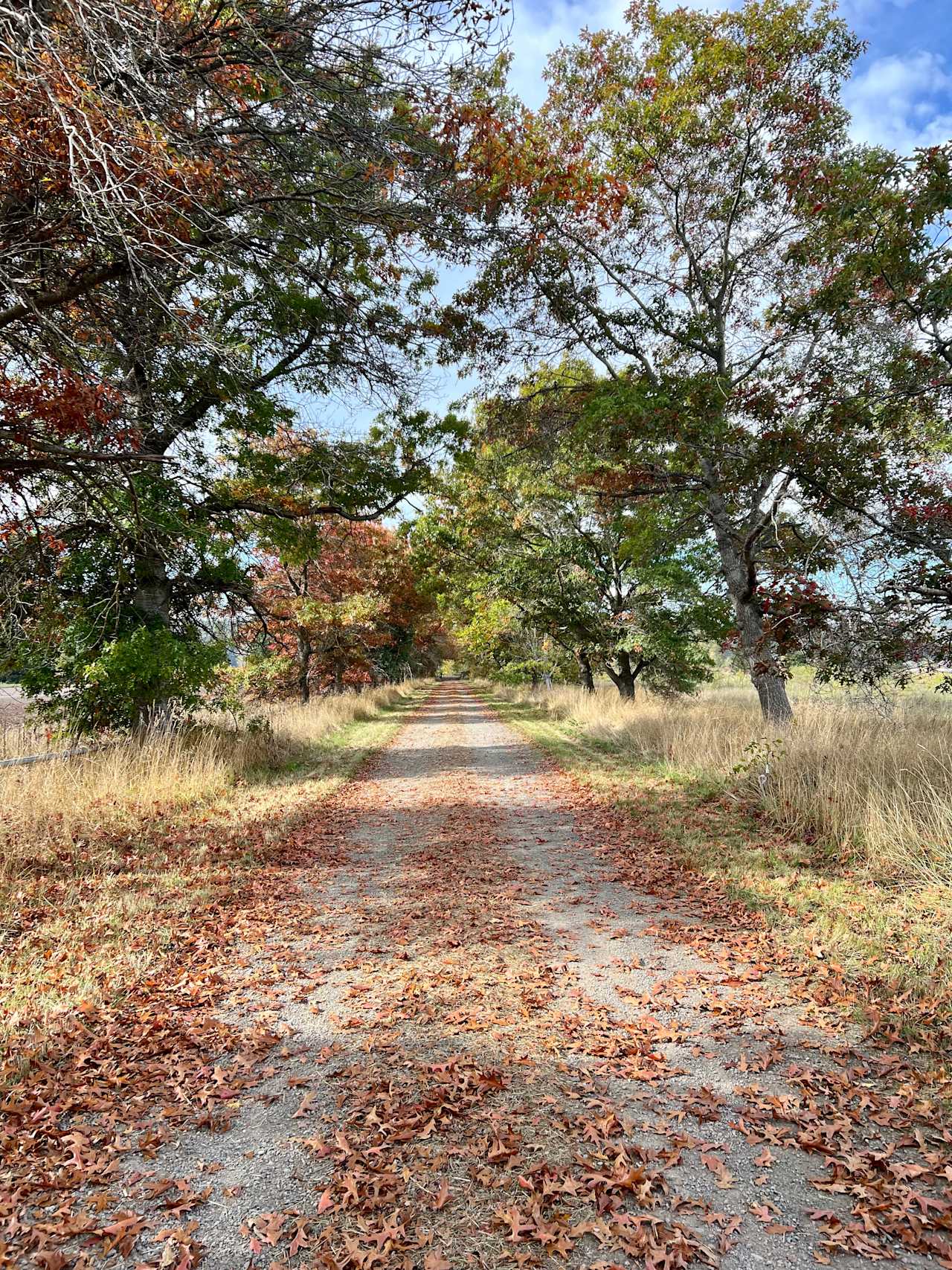 The Glendale Farm