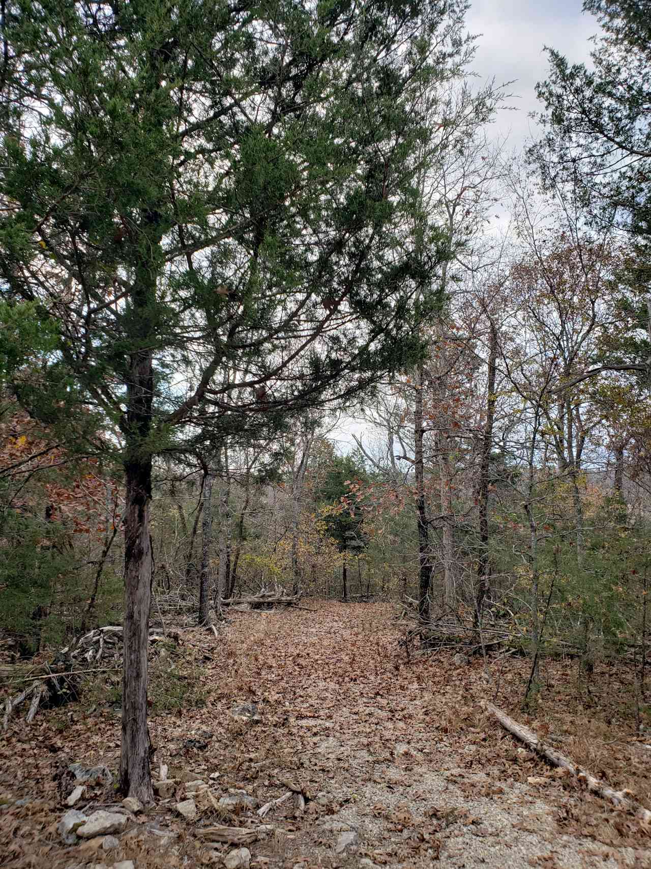 Cedar Ridge At Southfork River