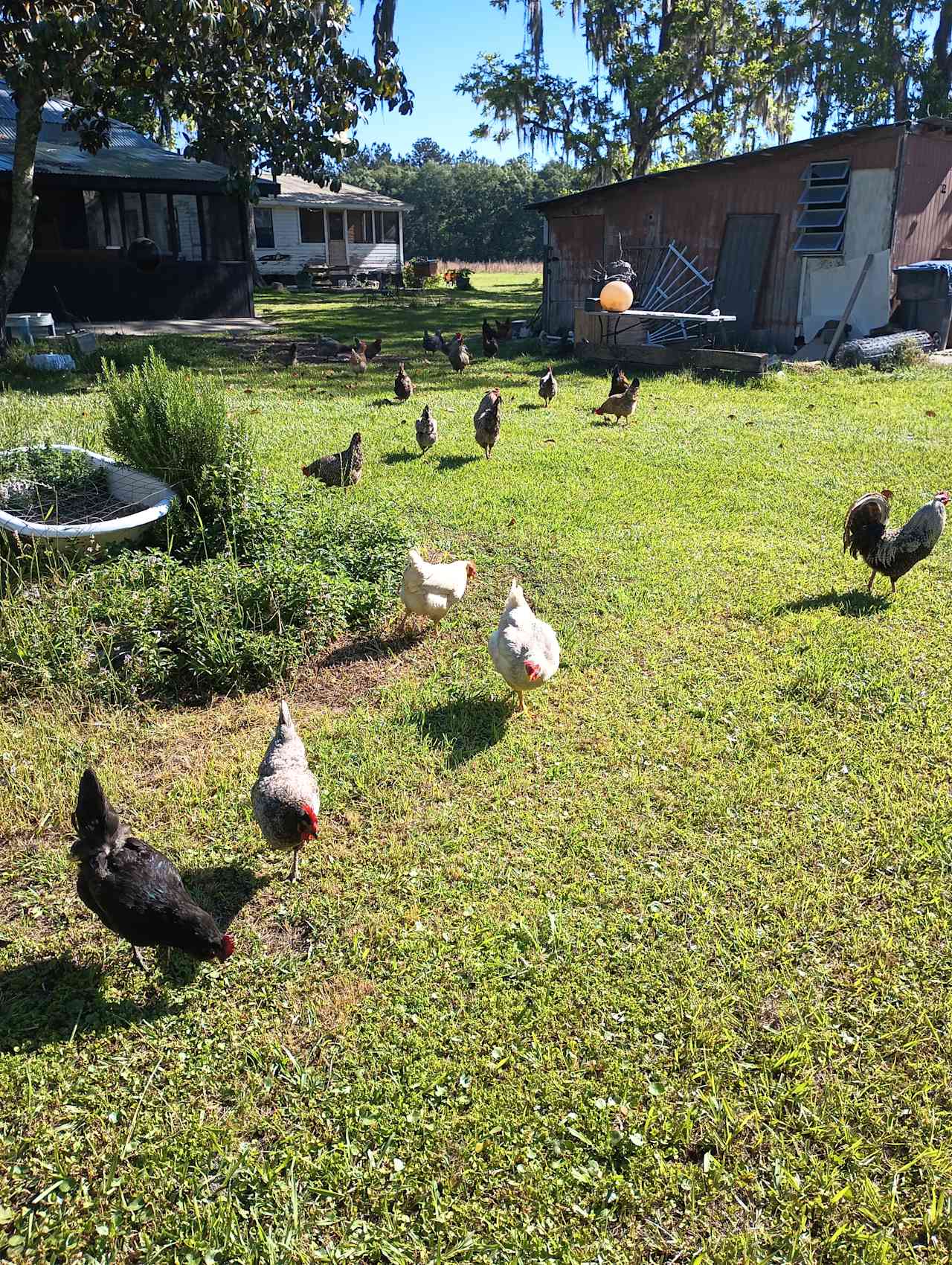 HeeHaw Acres Farm