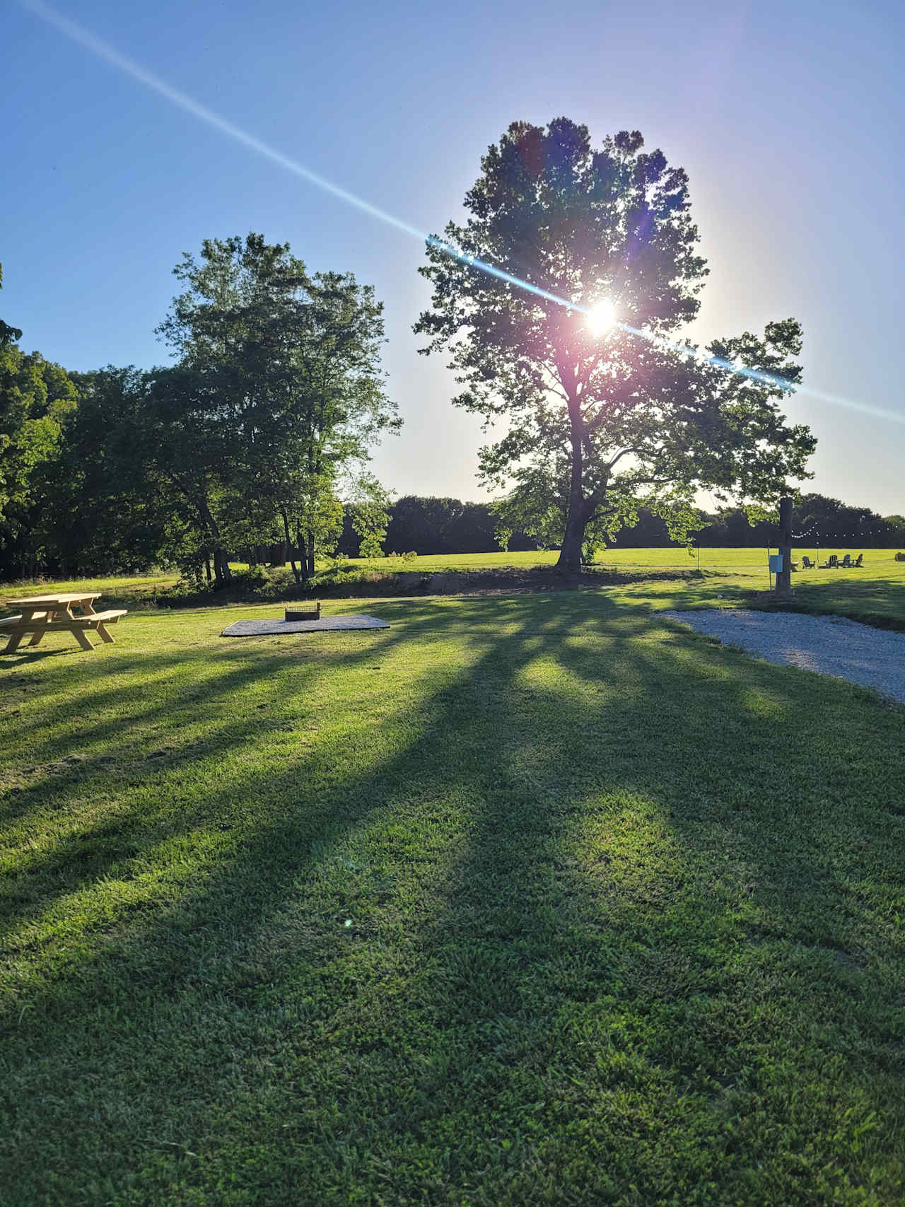 The Campsites At Haywire Acres