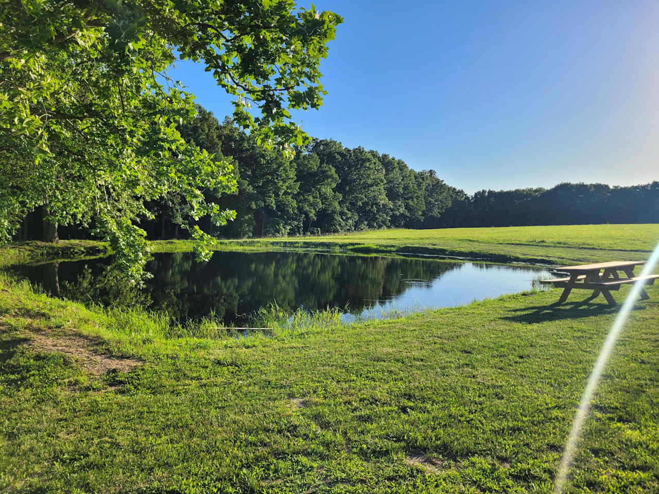 The Campsites At Haywire Acres