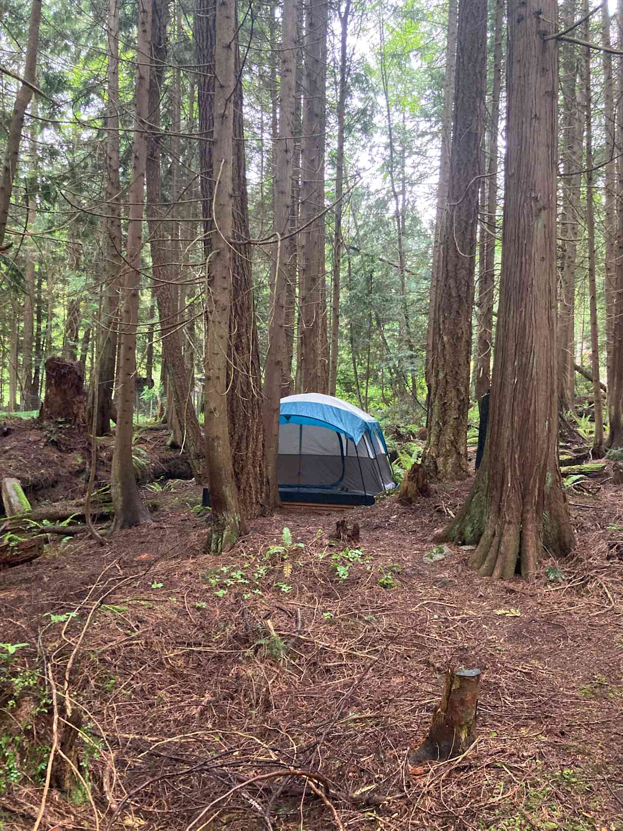 Sleep By The Creek