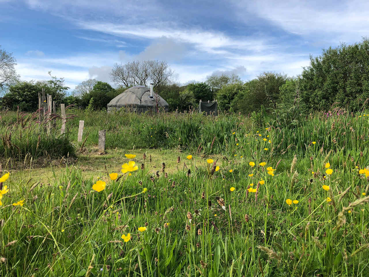 Upsticks Yurt, Pen Llŷn, Gwynedd