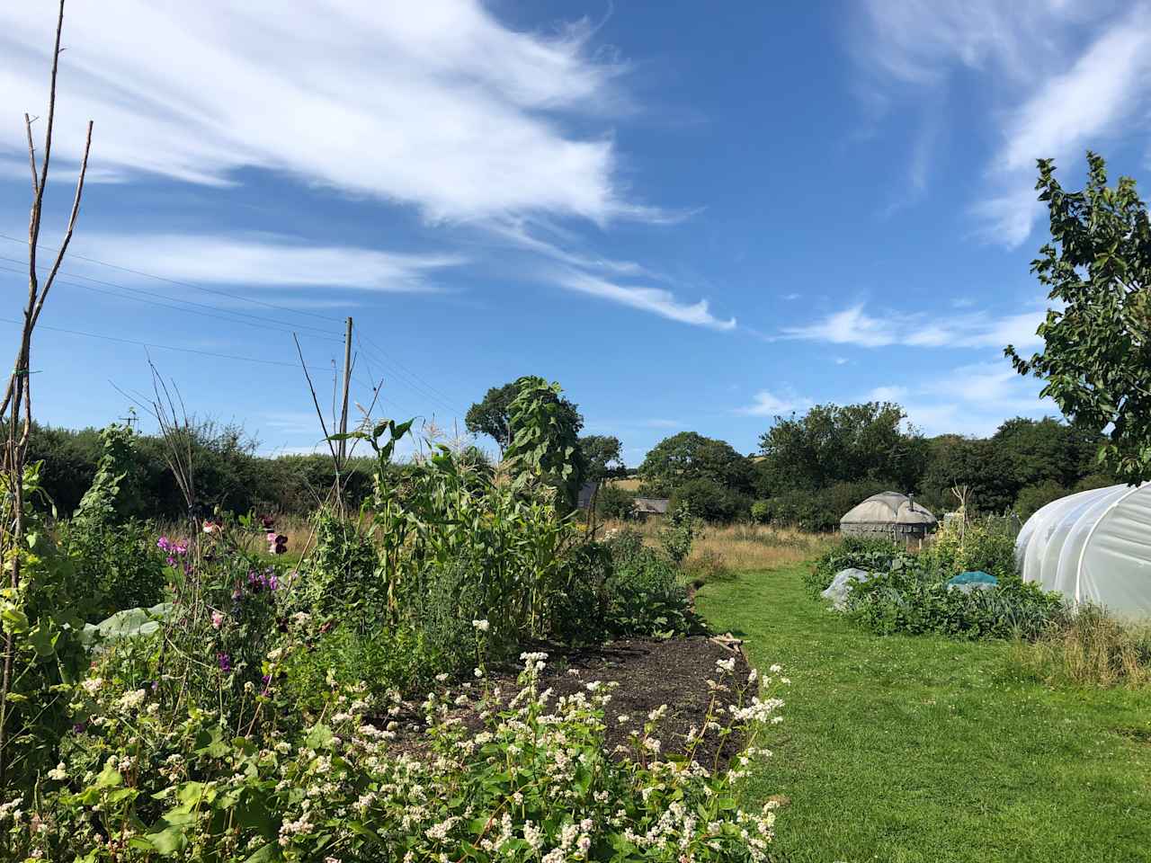 Upsticks Yurt, Pen Llŷn, Gwynedd